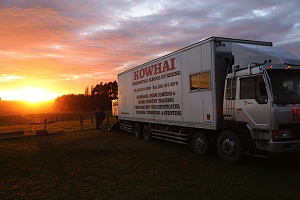 lessons in Dressage,Show Jumping & Cross Country